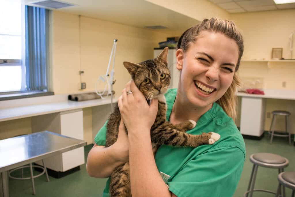 Veterinary Technology student holds a furry kitty while smiling in the lab.