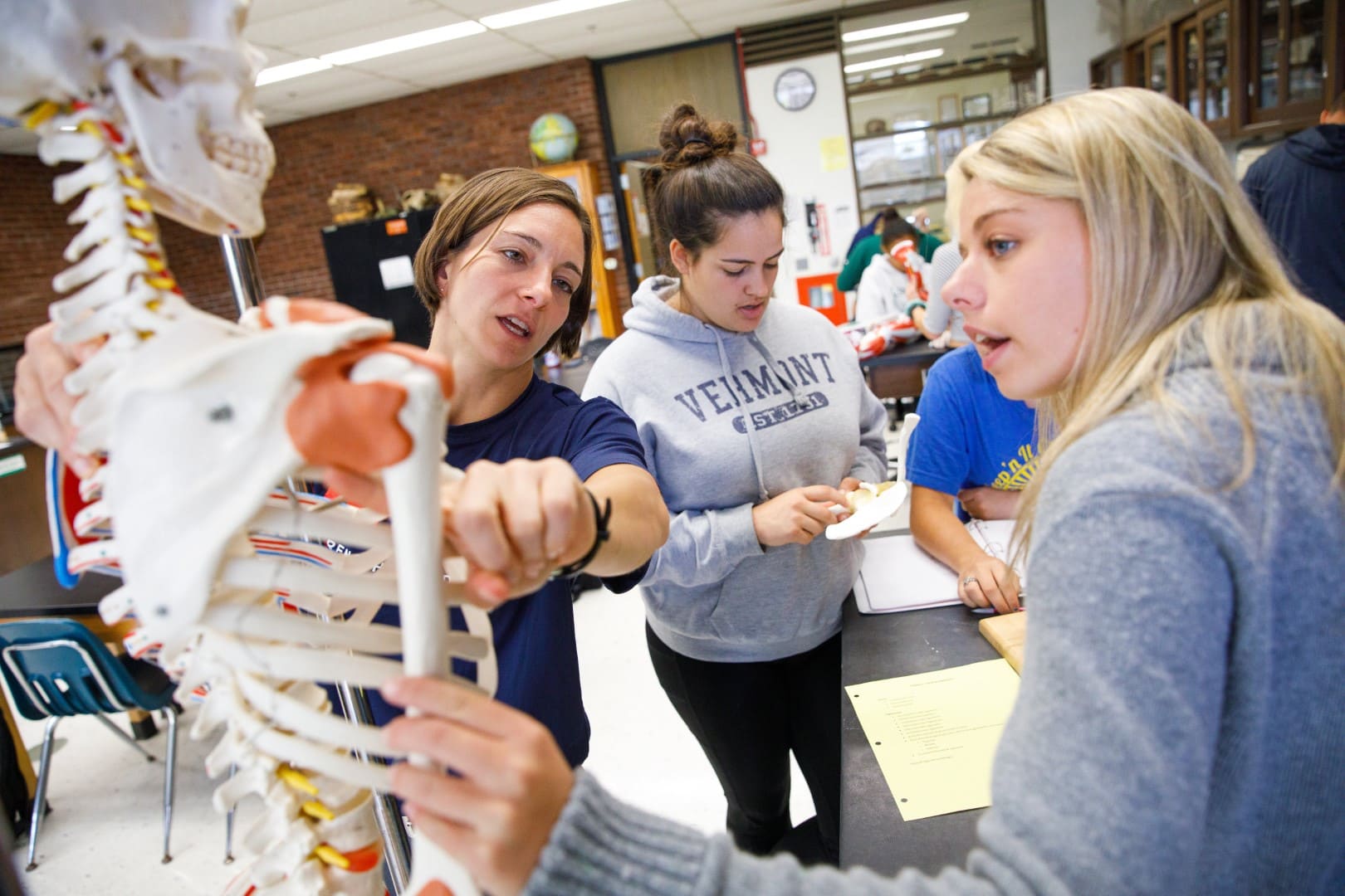 A group of students looking at a skeleton in a classroom.
