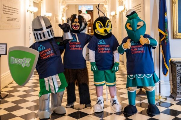 Four mascots stand side-by-side. A knight, badger, hornet, and spartan.