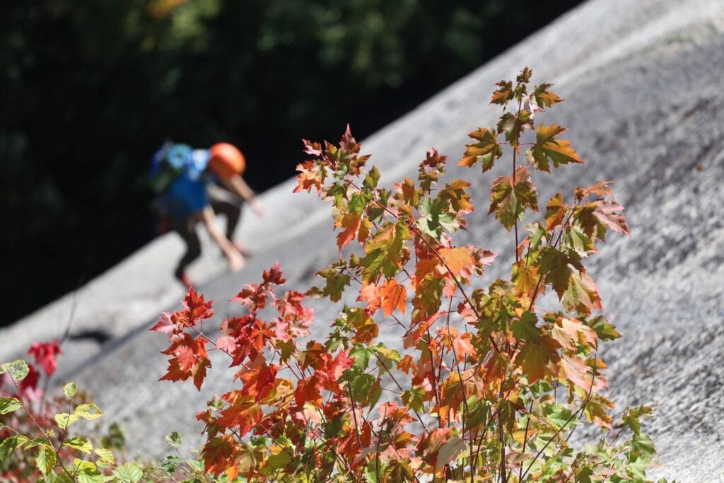 A person scales a rock face against fall foliage.