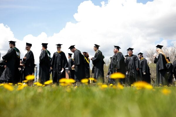 A line of students in graduation regalia on a summer day surrounded by dandelions at Vermont State University Randolph.