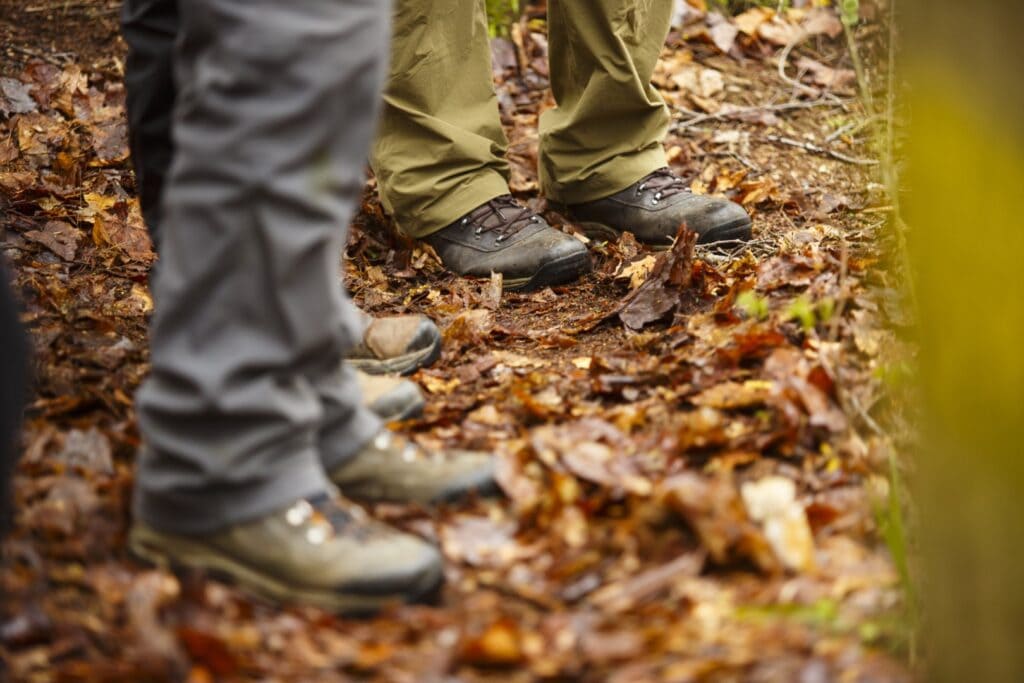 The hiking shoes of people standing in the leaves in the woods.