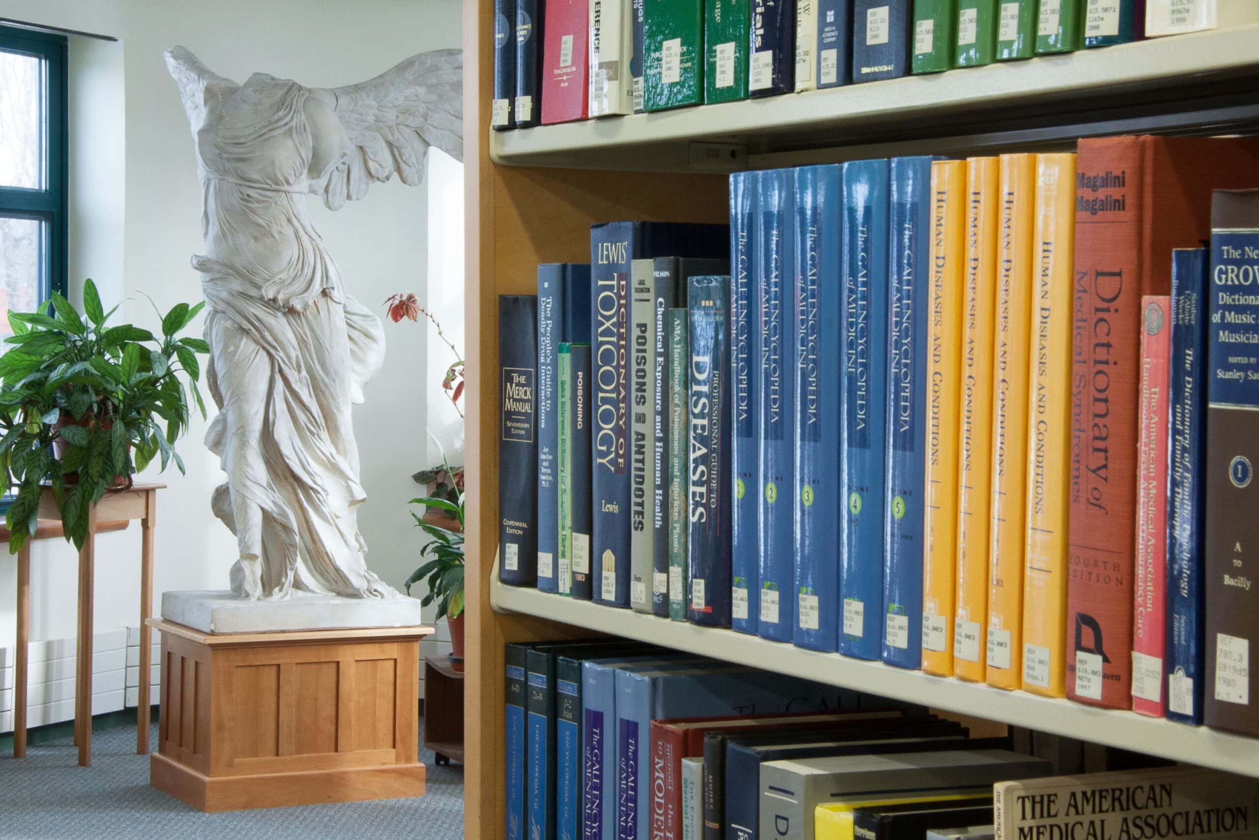 Bookshelves next to a Greek statue in the Lyndon campus library.