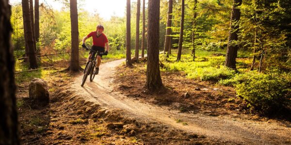A mountain biker riding down a smooth trail in the woods.