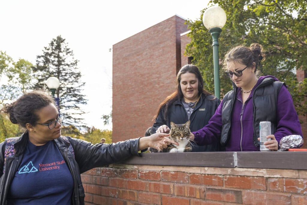 Three young women pet a cat that is laying on a brick wall.