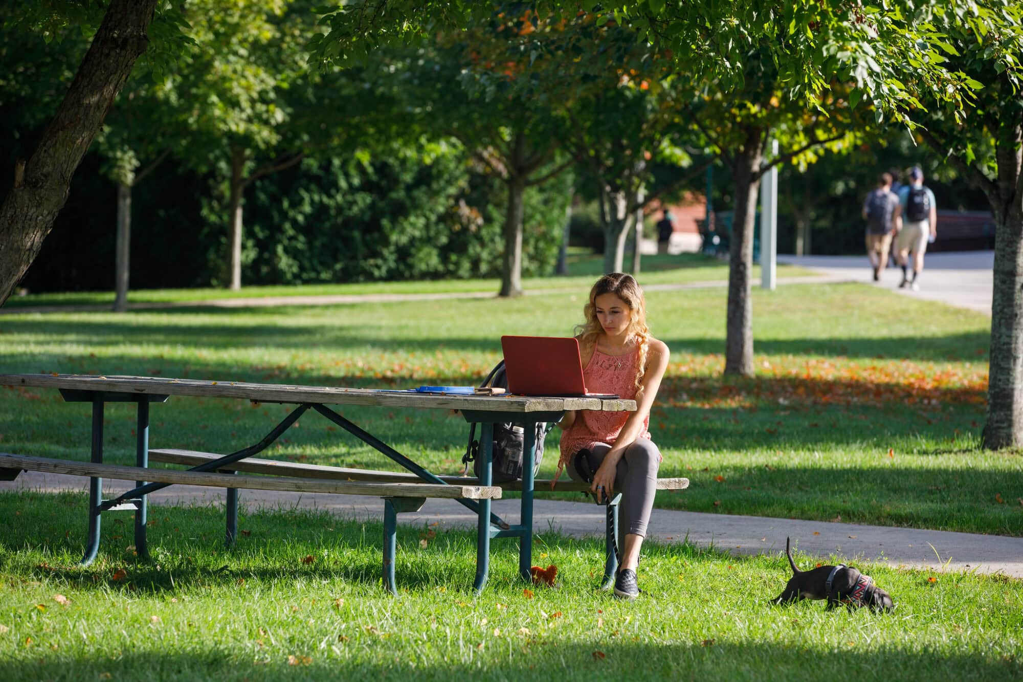 Woman sits at a picnic table using her laptop on Castleton Campus.