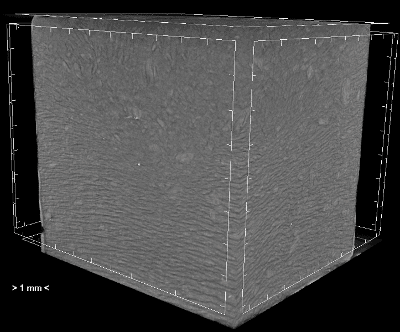 Ice lenses in frozen soils