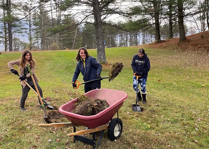 Pocket Wetland Restoration Underway on Johnson Campus