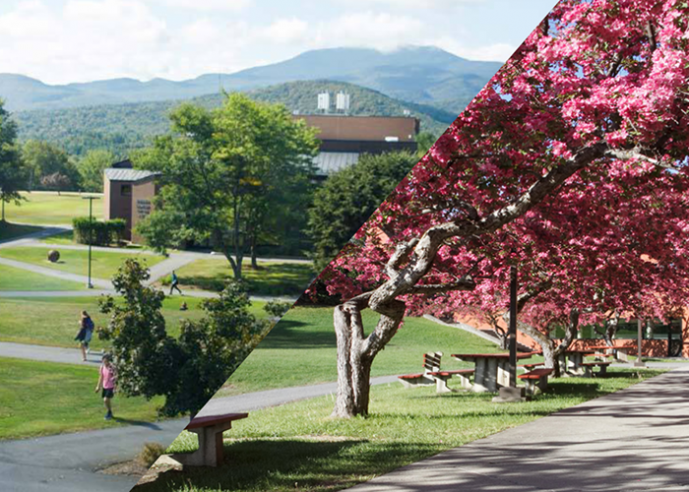 Northern Vermont Earns Gold Award for 2021 Virtual Graduation Experience