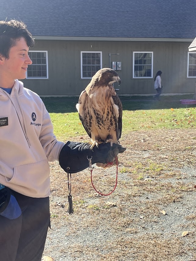 A person wearing a glove smiles while a large bird perches on their arm. 