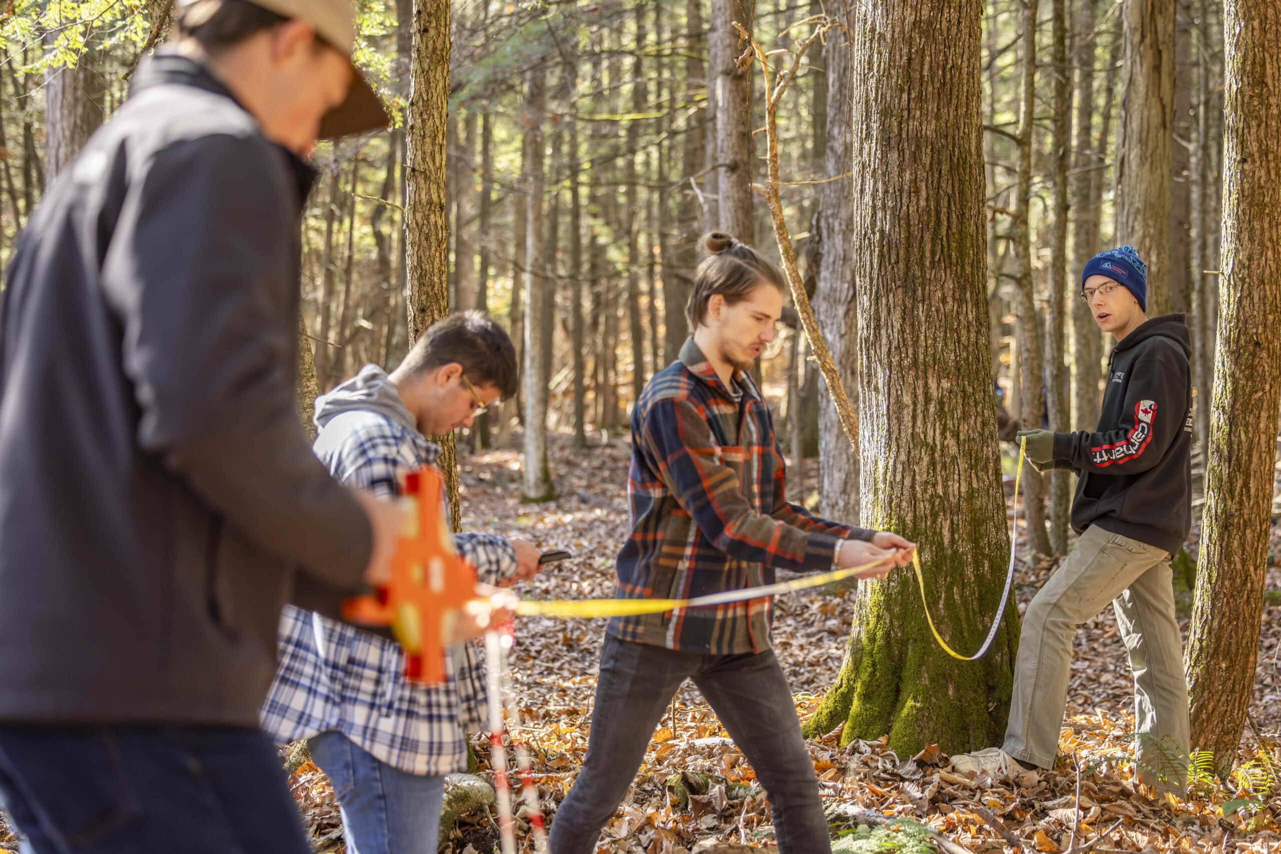 Students walking through the woods measuring the distance between trees