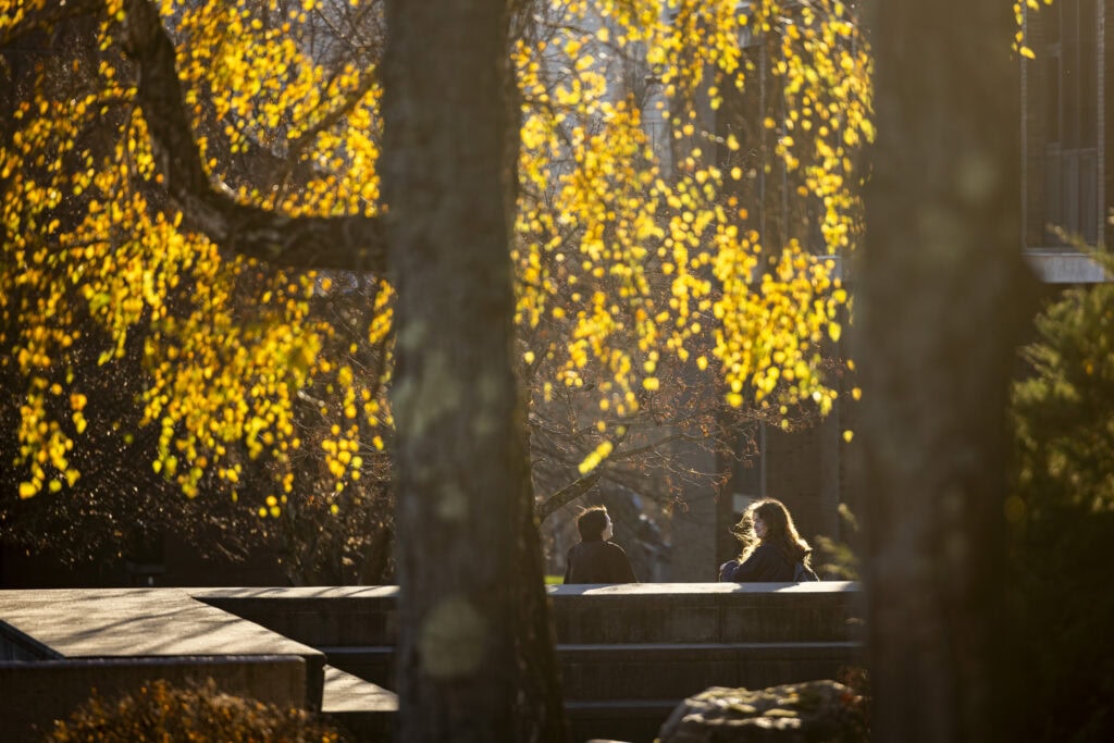 Two students sitting outdoors on a fall day, basked in warm light.