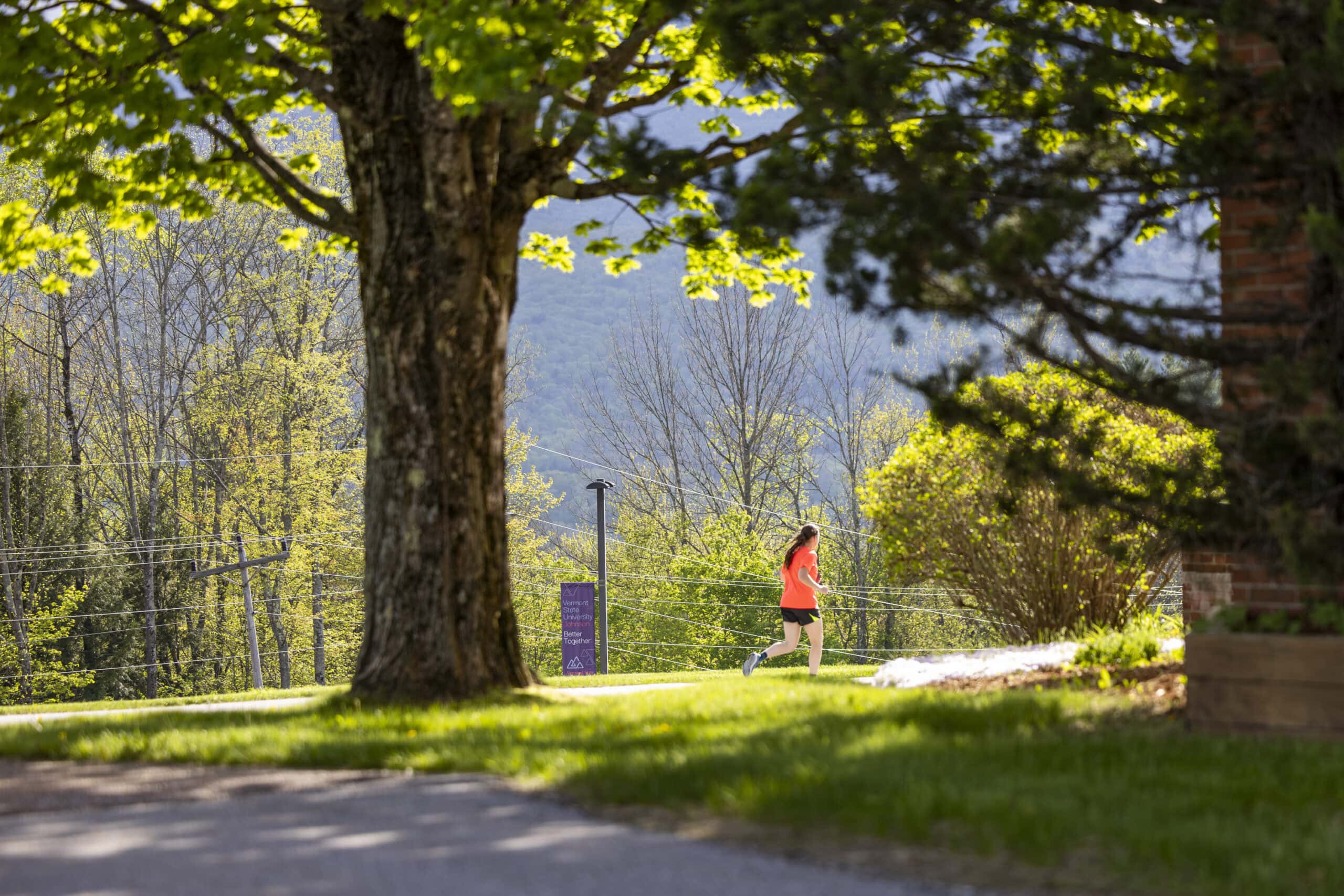 Commentary | A campus reimagined: Education and community at the heart of rural renewal