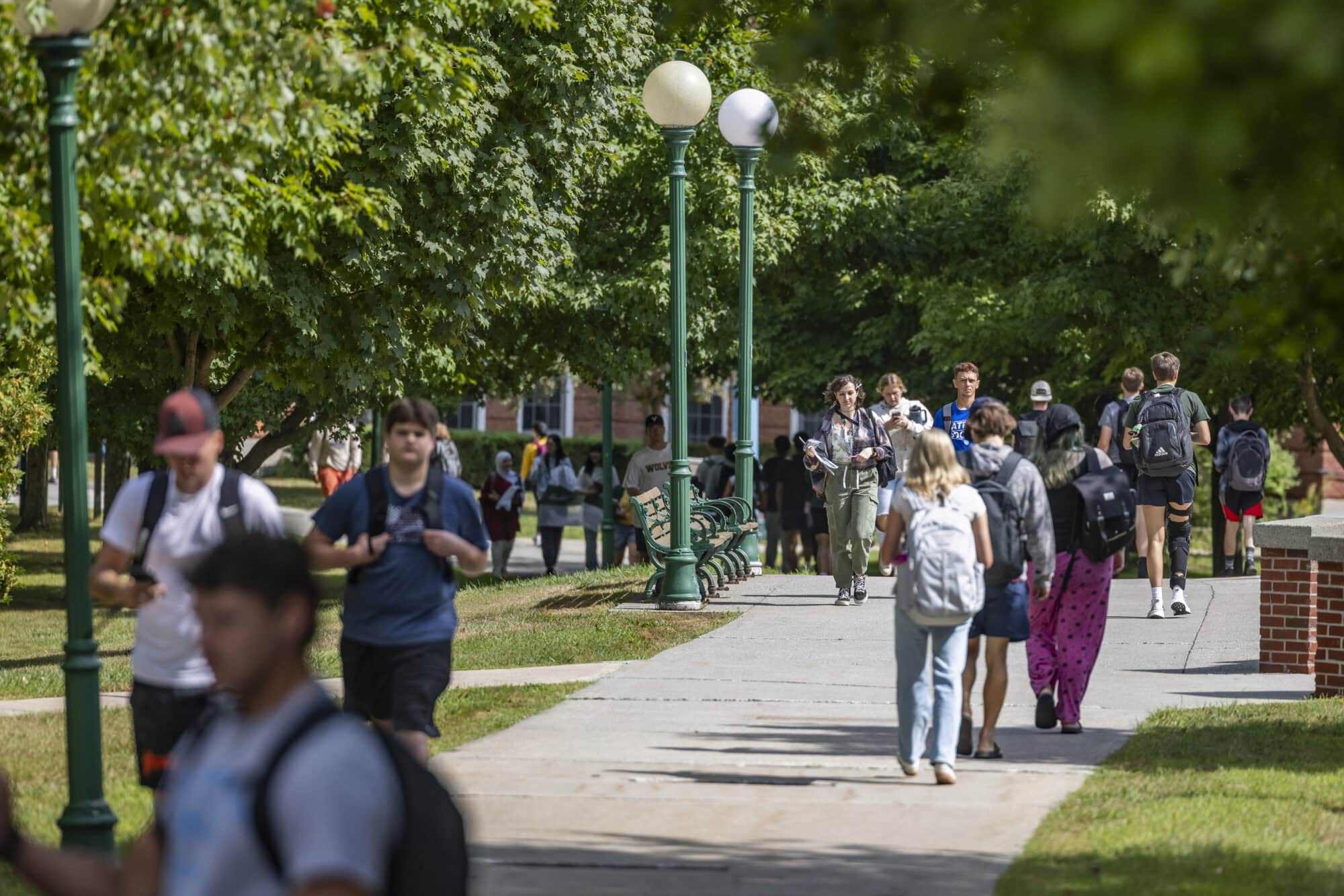A large group of students walking on a path on campus in between classes on a sunny spring day