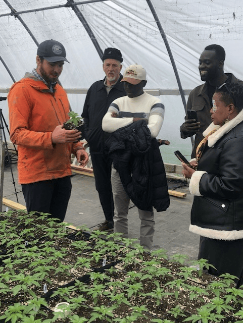 A group of five people gathered inside a greenhouse hoop house, examining young cannabis seedlings, with one person in an orange jacket holding a small plant.