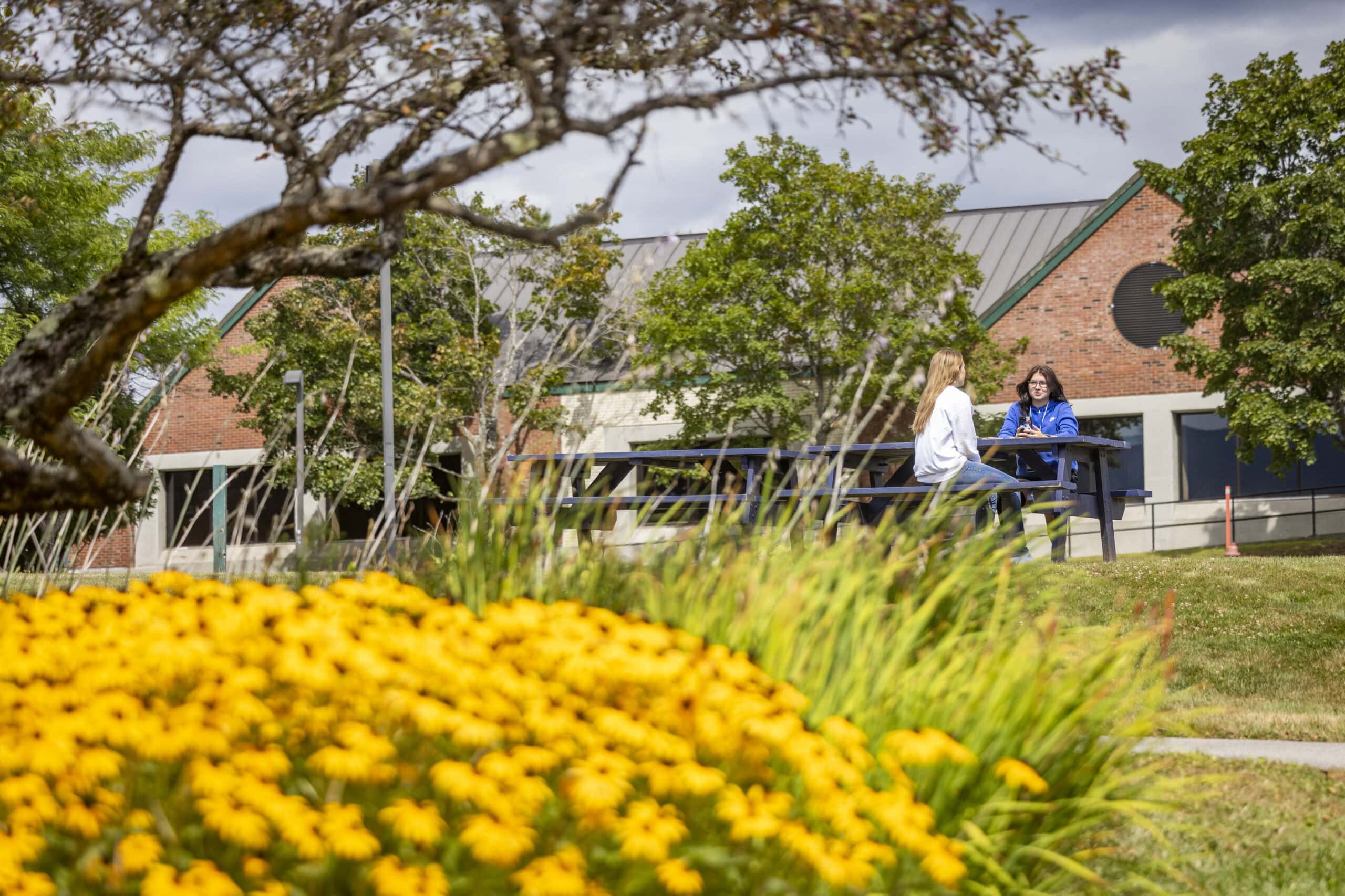 Vermont State University Announces Spring 2026 Dean’s List & President’s List
