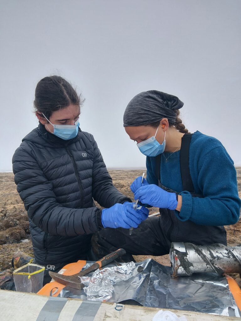 Two researchers wearing face masks and blue protective gloves collect a sample from a small container in a remote, rocky Arctic landscape. One researcher steadies the sample while the other uses a tool to transfer material into a test tube. Scientific equipment, including a rock hammer, foil, and a cylindrical core sample, rests on a work surface in the foreground beneath an overcast sky.