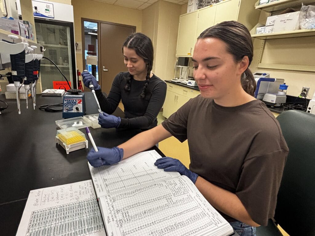 Two student researchers work in a molecular biology laboratory, recording data and processing research samples using pipettes and laboratory equipment.